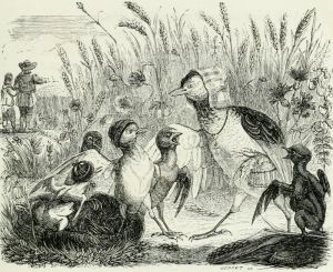 THE LARK AND HER LITTLE ONES WITH THE OWNER OF A FIELD. Fable by Jean de La Fontaine. Illustration by Grandville