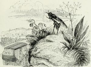 THE COACH AND THE FLY. Fable by Jean de La Fontaine. Illustration by Grandville