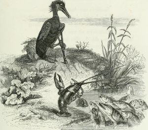 THE CORMORANT AND THE FISHES. Fable by Jean de La Fontaine. Illustration by Grandville