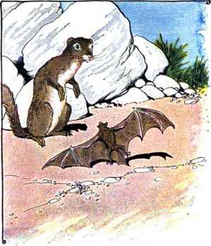 THE BAT AND THE WEASELS. Milo Winter, 1919