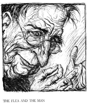 Aesop's Fable "THE FLEA AND THE MAN". Illustration by Arthur Rackham