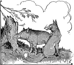 THE WILD BOAR AND THE FOX. Milo Winter, 1919