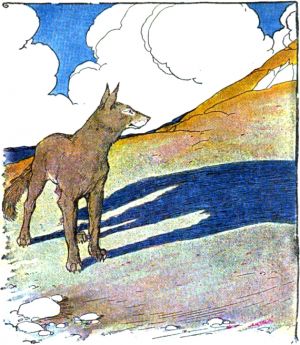 THE WOLF AND HIS SHADOW. Milo Winter, 1919