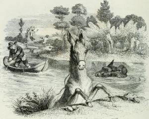 THE ASS LADEN WITH SPONGES, AND THE ASS LADEN WITH SALT. Fable by Jean de La Fontaine. Illustration by Grandville