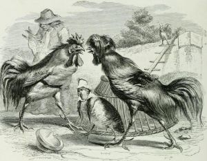 THE PARTRIDGE AND THE FOWLS. Fable by Jean de La Fontaine. Illustration by Grandville