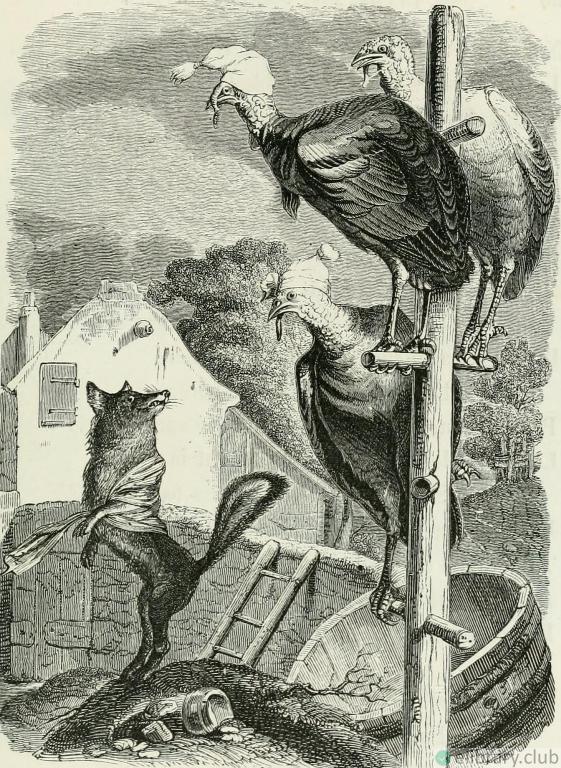 THE FOX AND THE TURKEYS. Fable by Jean de La Fontaine. Illustration by Grandville