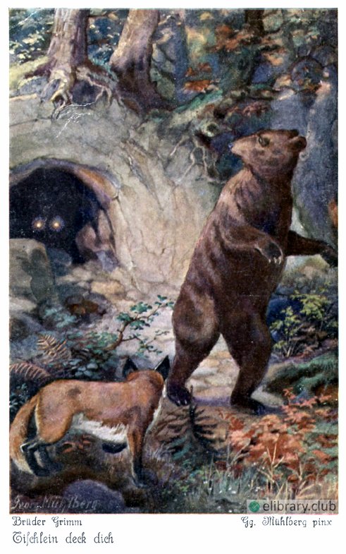"We will soon drive him out," said the Bear, and he trotted back with his friend to the hole and looked in, but the sight of the fiery eyes was quite enough for him, and he turned and took to his heels. The Wishing Table, The Gold Ass, and The Cudgel by The Brothers Grimm. Illustrated by Georg Mühlberg (1863-1925)