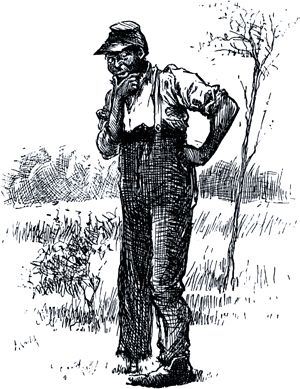 Misto Bradish's Nigger. The Adventures of Huckleberry Finn by Mark Twain. Illustrated by E. W. Kemble