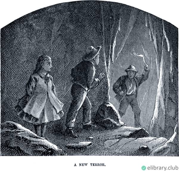 A New Terror. The Advenrtures of Tom Sawyer, a novel by Mark Twain (1st ed., 1876)