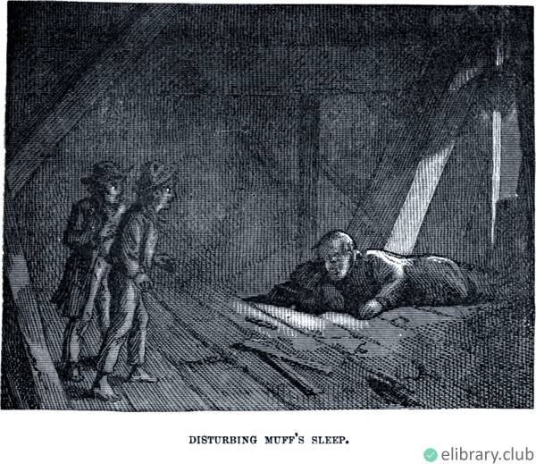 Disturbing Muff’s Sleep. The Advenrtures of Tom Sawyer, a novel by Mark Twain (1st ed., 1876)