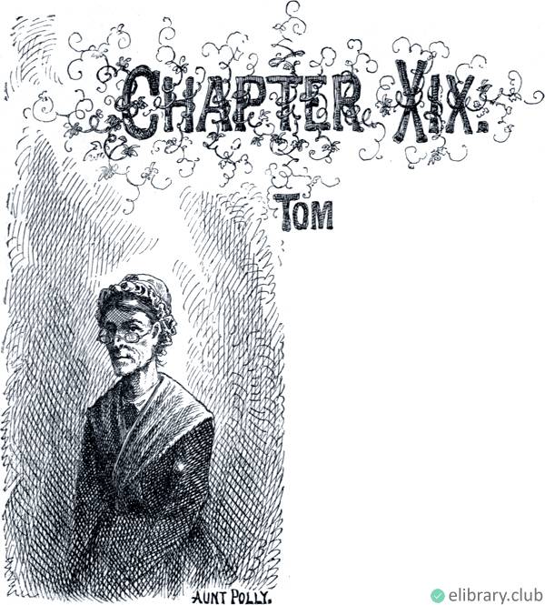 The Adventures of Tom Sawyer. Chapter XIX. Aunt Polly. (Tom...)